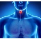 از بیمار تا پزشک: سفر پزشکی EJ Beck در NYU Langone Health از بیمار تا پزشک: سفر پزشکی EJ Beck در NYU Langone Health